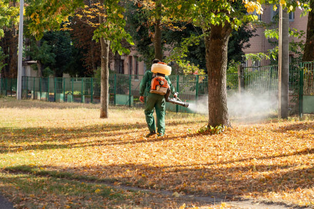 Best Local Pest Control Services  in Franklin, MI