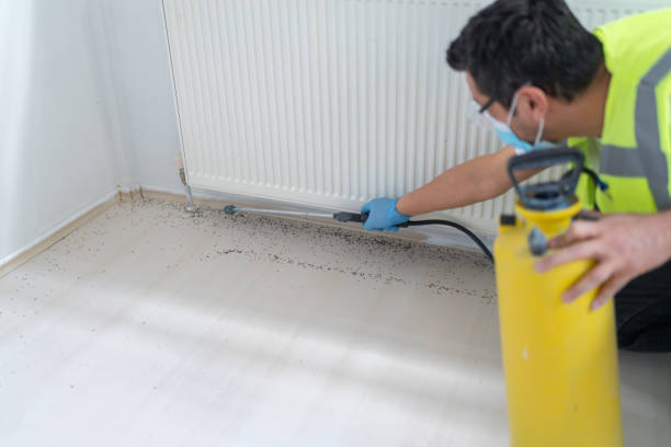 Best Pest Control Treatment  in Franklin, MI
